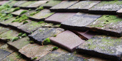 Milton Bryan roof repair costs